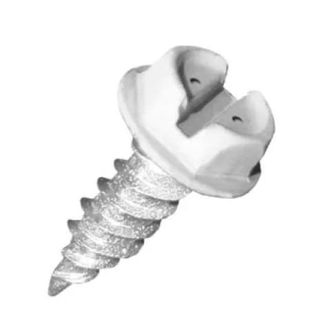 HW8X1-1/2ZWT 250PK WHITE HEAD
SCREWS