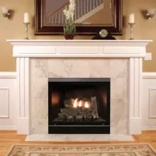 DVCD42FP30N 42" CLEAN FACE DELUXE
NAT GAS FIREPLACE W/BARRIER SCREEN